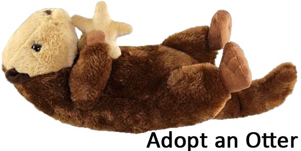 otto sea otter adoption